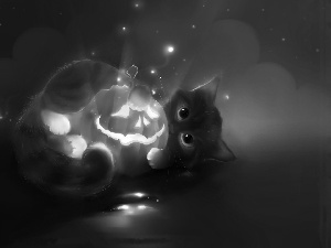 halloween, cat, pumpkin