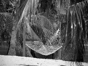 Hammock, Palms, Beaches