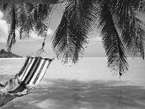 Hammock, sea, Palms