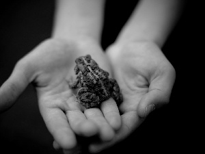 child-, strange frog, hands