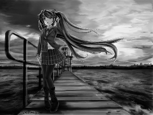 Hatsune Miku, bridge