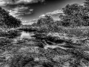 River, viewes, HDR, trees