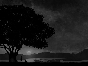 he, she, sun, trees, west