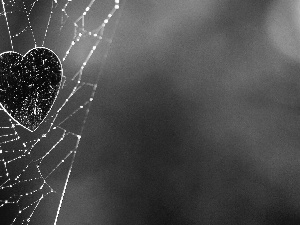 Heart, Web, Red