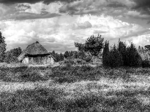 heath, house, Lüneburg Heath, Lüneburg Heath, Germany