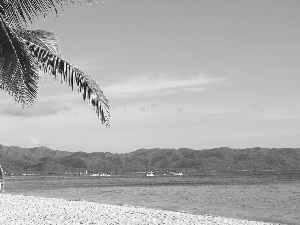 water, Sand, The Hills, Sky, Boats, Palm