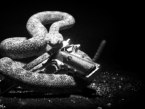 Hitman Absolution, Snake