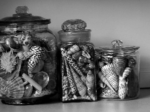 Shells, decoration, hobby, Jars