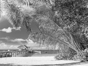 Beaches, Thailand, Palms, holiday, pier, sea