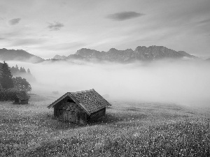 Mountains, Fog, Home, woods