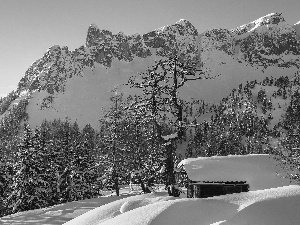 Home, winter, trees, viewes, rocks