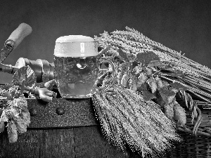 mug, composition, hop, corn, barrel, Beer