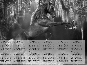 Horse, Calendar, 2014
