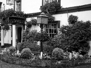 entry, Garden, Hotel hall