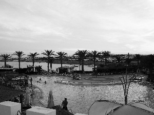 Hotel hall, Coast, Palms, spa, People, Pool