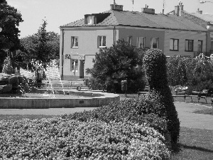 Bird, fountain, house, Flowers