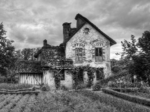 Garden, Old car, house