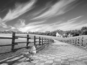 Meadow, rooster, house, Sky, fence, Way