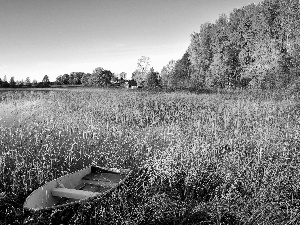 rushes, lake, Houses, autumn, forest, Boat