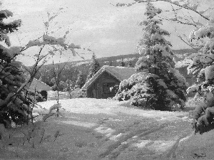 Houses, winter, Christmas