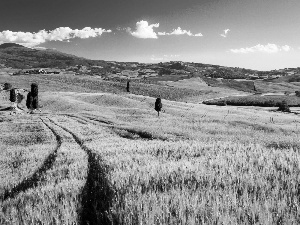 Mountains, field, Tuscany, Way, medows, Houses, Italy