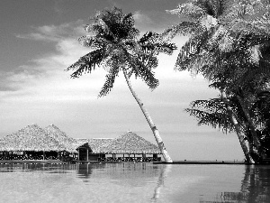 Palms, sea, Houses, clouds