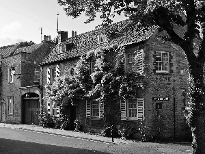 Houses, England, Street
