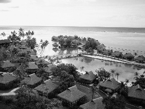 tropical, sea, Houses, Island