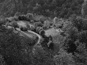 Houses, Way, viewes, The Hills, trees