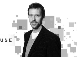 Hugh Laurie, Dr House, series