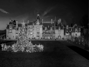 christmas tree, Hotel hall, illuminated