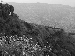 mountains, Mahabaleshwar, india, Flowers