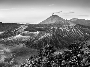 mountains, Bush, indonesia, Bromo