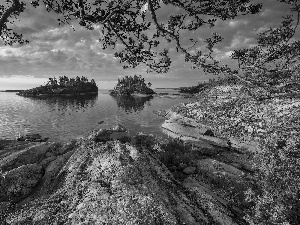 Islets, trees, Russia, viewes, Karelia, rocks, Lake Ladoga, branch pics