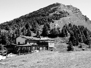 Mountains, hostel, Italy, woods