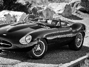 Black, Jaguar F-Type
