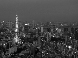 Japan, Tokio, Town, Asia, Night
