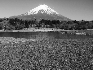 volcano, floral, Japan, carpet