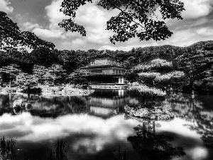 water, forest, Japan, house