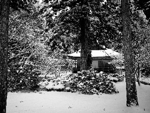 winter, Home, Japan, forest