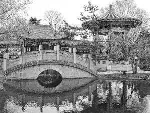 japanese, Garden, Home