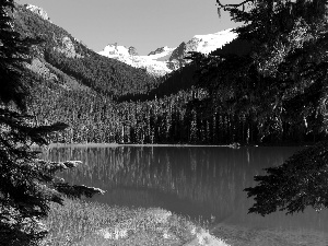 Joffre, Canada, woods, Mountains, lake