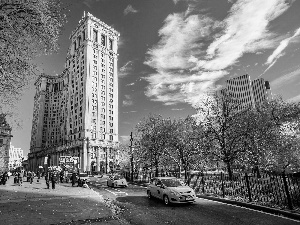 New, Street, Manhattan, cars, skyscrapers, Jork, USA