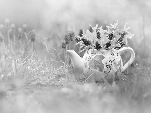 decoration, Muscari, jug, forsythia