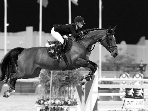 jump, obstacle, Horse, horsemanship, jockey