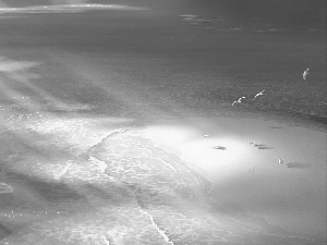 water, gulls, Kagaya, Beaches