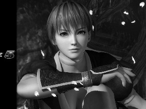 Dead Of Alive 5, Kasumi