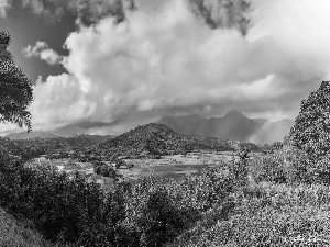 Aloha State Hawaje, The United States, Kauai Island, Mountains, clouds, Great Rainbows, Palms, VEGETATION, The Hills