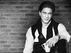 actor, Shahrukh, Khan, Bollywood