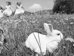 Kids, Meadow, Rabbit, eggs, Easter